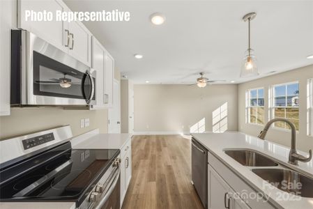 New construction Single-Family house 87 Coon Creek Rd, Pageland, SC 29728 - image 7