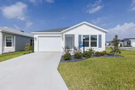 New construction Single-Family house 1535 Pj Martin Ct, The Villages, FL 32163 - image