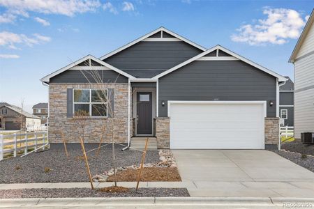New construction Single-Family house 4808 Lynxes Wy, Johnstown, CO 80534 plan NEWCASTLE - image