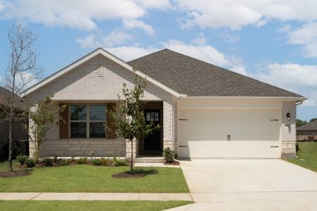 New construction Single-Family house 857 Birdie Dr, Little Elm, TX 75068 plan Allegheny - image