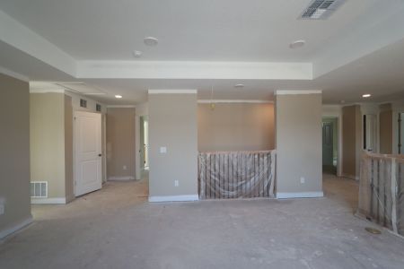 New construction Single-Family house 20125 Oriana Loop, Land O' Lakes, FL 34638 Santina II- photo 145 145