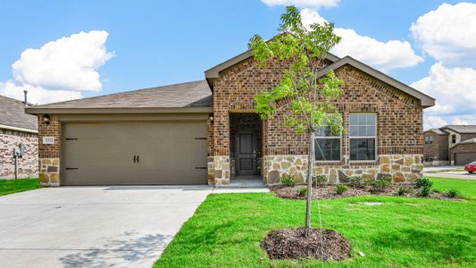 New construction Single-Family house 1303 Taggart St, Royse City, TX 75189 plan Brenham - image