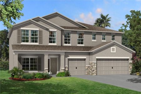 New construction Single-Family house 4969 Eagle Rock Dr, Wimauma, FL 33598 null- photo 1 1