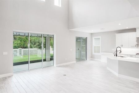 New construction Single-Family house 2612 Leafwing Ct, Palm Harbor, FL 34683 null- photo 11 11