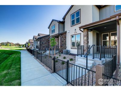 New construction Townhouse house 6230 Vernazza Way, Unit 2, Windsor, CO 80550 Carolina- photo 0