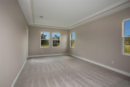 New construction Single-Family house 149 Hidden Estates Ct, Brandon, FL 33511 Key Largo II- photo 15 15