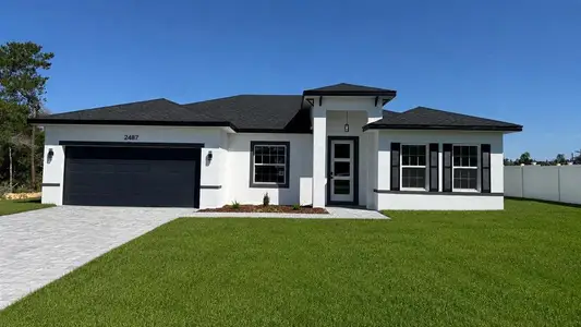 New construction Single-Family house 2487 Sw 167Th Lp, Ocala, FL 34473 - image