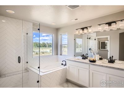 New construction Multi-Family house 2747 Crystal Spgs, Longmont, CO 80501 Eldorado - photo 20 20