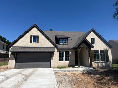 New construction Single-Family house 404 Guadeloupe Ln, Springtown, TX 76082 - image