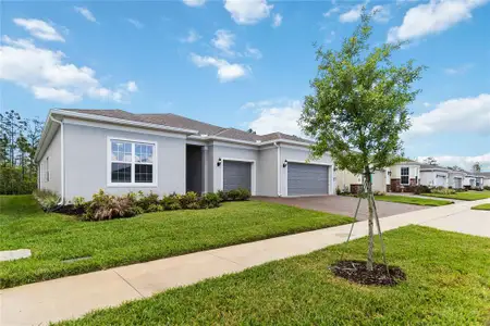 New construction Single-Family house 2531 Pine Preserve Ct, St. Cloud, FL 34771 plan Renown - image