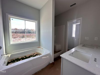 New construction Single-Family house 66 Barony Lane, Smithfield, NC 27577 Brunswick- photo 5 5