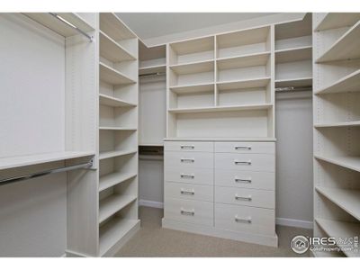 New construction Single-Family house 2286 Star Hill St, Longmont, CO 80503 plan 2000 Oasis - image 17