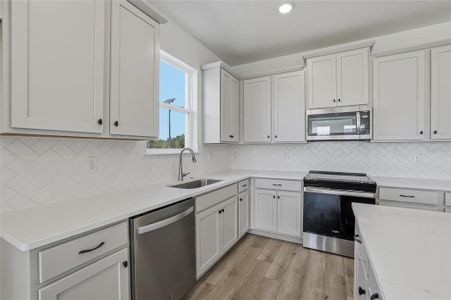 New construction Single-Family house 2007 Wild Heron Ct, Valrico, FL 33596 - image 7