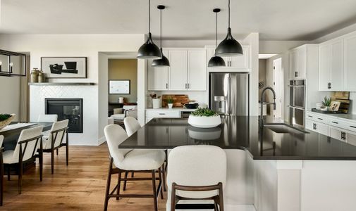 New construction Single-Family house 14885 Arbor Blvd W, Thornton, CO 80602 plan Vail - image