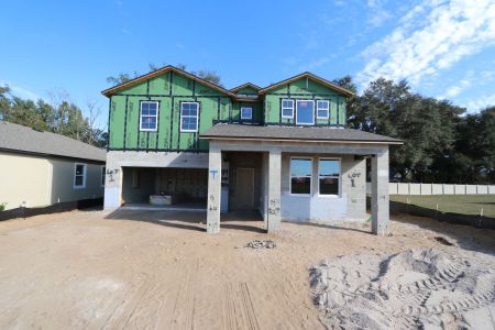 New construction Single-Family house 11984 Hilltop Farms Dr, Dade City, FL 33525 Casanova- photo 42 42