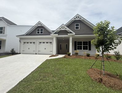 New construction Single-Family house 6236 Zoe Wy, Myrtle Beach, SC 29588 plan Edgewood - image