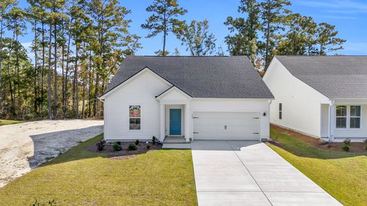 New construction Single-Family house 524 Sun Colony Blvd, Longs, SC 29568 plan Avondale - image