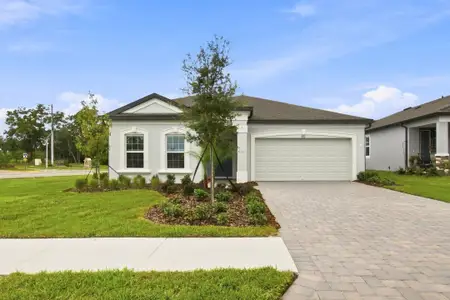 New construction Single-Family house 902 Hillshire Pl, Spring Hill, FL 34609 plan Marque - image