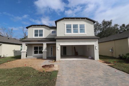 New construction Single-Family house 12008 Hilltop Farms Dr, Dade City, FL 33525 Alenza- photo 95 95