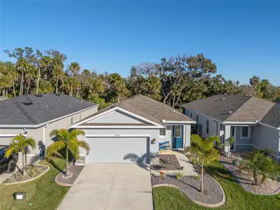 New construction Single-Family house 8724 Starry Night Ter, Parrish, FL 34219 - image