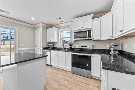 New Prospect Haven by Enchanted Homes in Inman - image 9