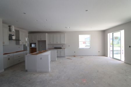 New construction Single-Family house 31236 Denham Ridge Ln, Wesley Chapel, FL 33545 Santa Monica- photo 66 66