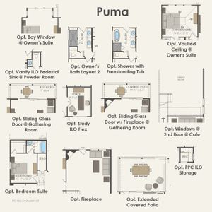 New construction Single-Family house Garland, TX 75043 plan Puma - image