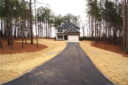 New construction Single-Family house 899 Ponderosa Trl, Cameron, NC 28326 - image