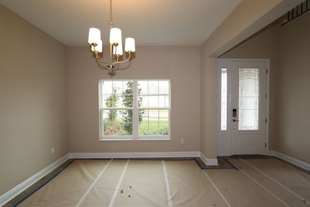 New construction Single-Family house 20125 Oriana Loop, Land O' Lakes, FL 34638 Santina II- photo 168 168