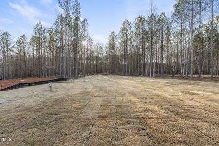 New construction Single-Family house 75 Cherry Bark Dr, Youngsville, NC 27596 null- photo 33 33