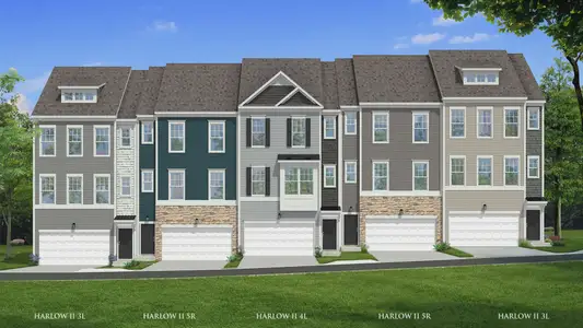 New construction Townhouse house 10923 Bayflower Wy, Raleigh, NC 27617 plan Harlow - image