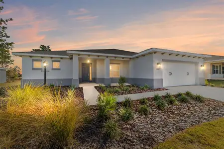 New construction Single-Family house 10002 Sw 106Th Cir, Ocala, FL 34481 - image