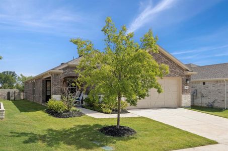 New construction Single-Family house 401 Long Pines Dr, McKinney, TX 75071 - image