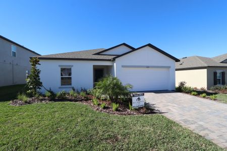 New construction Single-Family house 12193 Hilltop Farms Dr, Dade City, FL 33525 Sentinel- photo 115 115