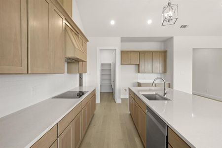 New construction Single-Family house 112 Aiden Dr, Waxahachie, TX 75165 plan Vista - image 6