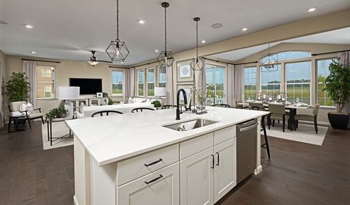 New construction Single-Family house 904 Steppe Ln, Windsor, CO 80550 null- photo 10 10