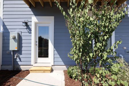 New construction Townhouse house 5006 Jowett'S Walk Dr, Cary, NC 27519 plan Buckingham - image