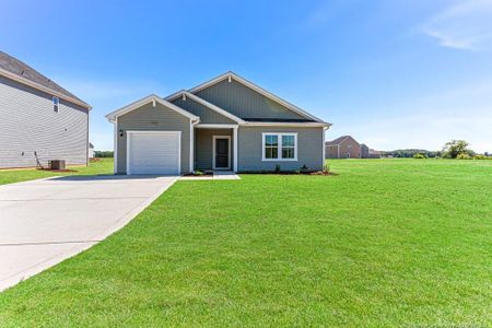 New construction Single-Family house 2203 Nahunta Rd, Pikeville, NC 27863 plan Embark - Single Family Homes - image
