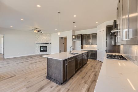 New construction Single-Family house 9005 S Shawnee Ct, Aurora, CO 80016 C551- photo 16 16