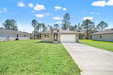 New construction Single-Family house 2956 W Higgins Pl, Dunnellon, FL 34433 - image