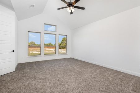 New construction Single-Family house 6841 Hayes Rd, Midlothian, TX 76065 - image 18