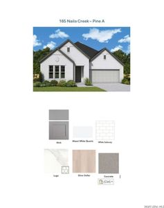 New construction Single-Family house 165 Nails Crk, Castroville, TX 78009 plan The Pine - image