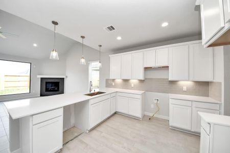 New construction Single-Family house 11103 Tulip Ridge Trl, Houston, TX 77044 plan 265 - image 7