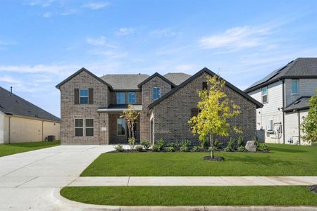 New construction Single-Family house 803 Bluestem St, Mansfield, TX 76063 plan Davis - image