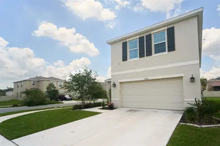 New construction Single-Family house 10826 Trailing Vine Dr, Tampa, FL 33610 null- photo 2 2