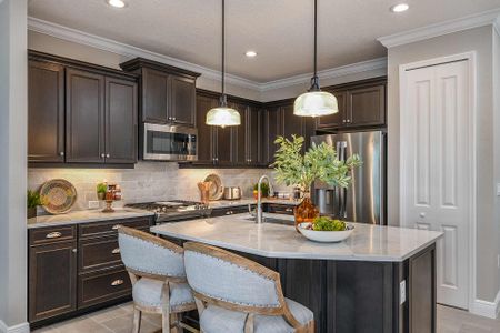 New construction Single-Family house 2357 Blue Mahoe Ln, Lakewood Ranch, FL 34240 plan Tidewater 2 - image 14