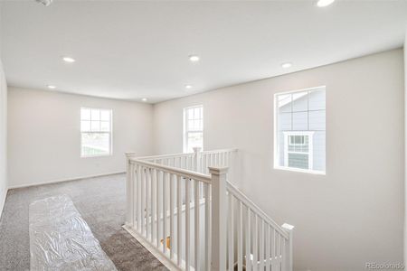 New construction Single-Family house 1889 Water Birch Way, Castle Rock, CO 80108 null- photo 11 11