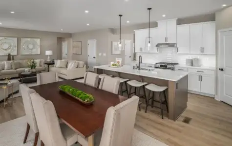 New construction Single-Family house 529 Flying Eagle Dr, Commerce, GA 30529 - image