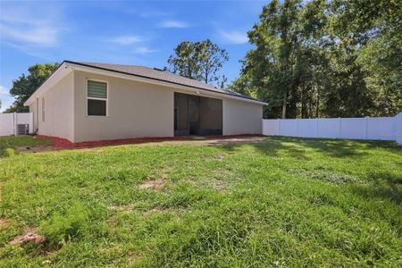 New construction Single-Family house 1010 Mayfair Pl, Kissimmee, FL 34758 - image 4