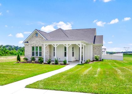 New construction Single-Family house 1710 Lasea Rd, Unit 10, Spring Hill, TN 37174 plan Granny White LX - image